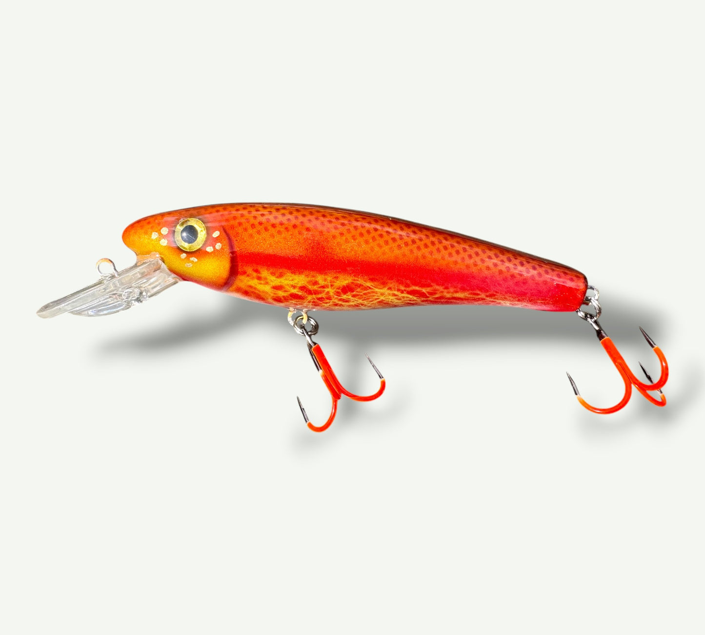 The ErnieCC 6”  GoldFish