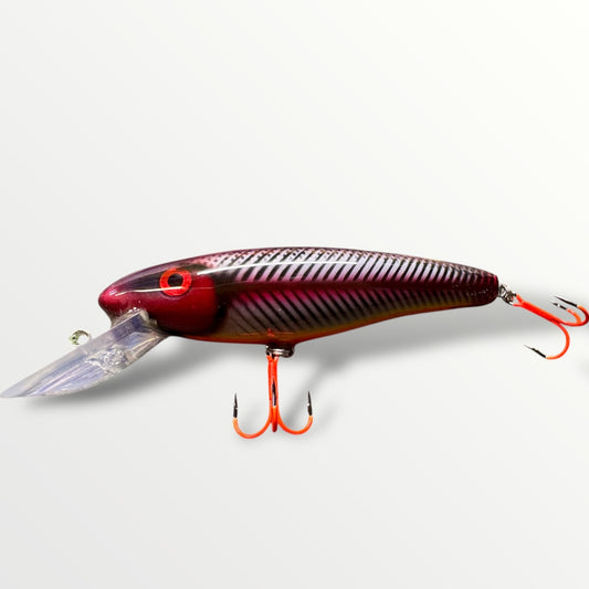 The Erniecc 6” Ready