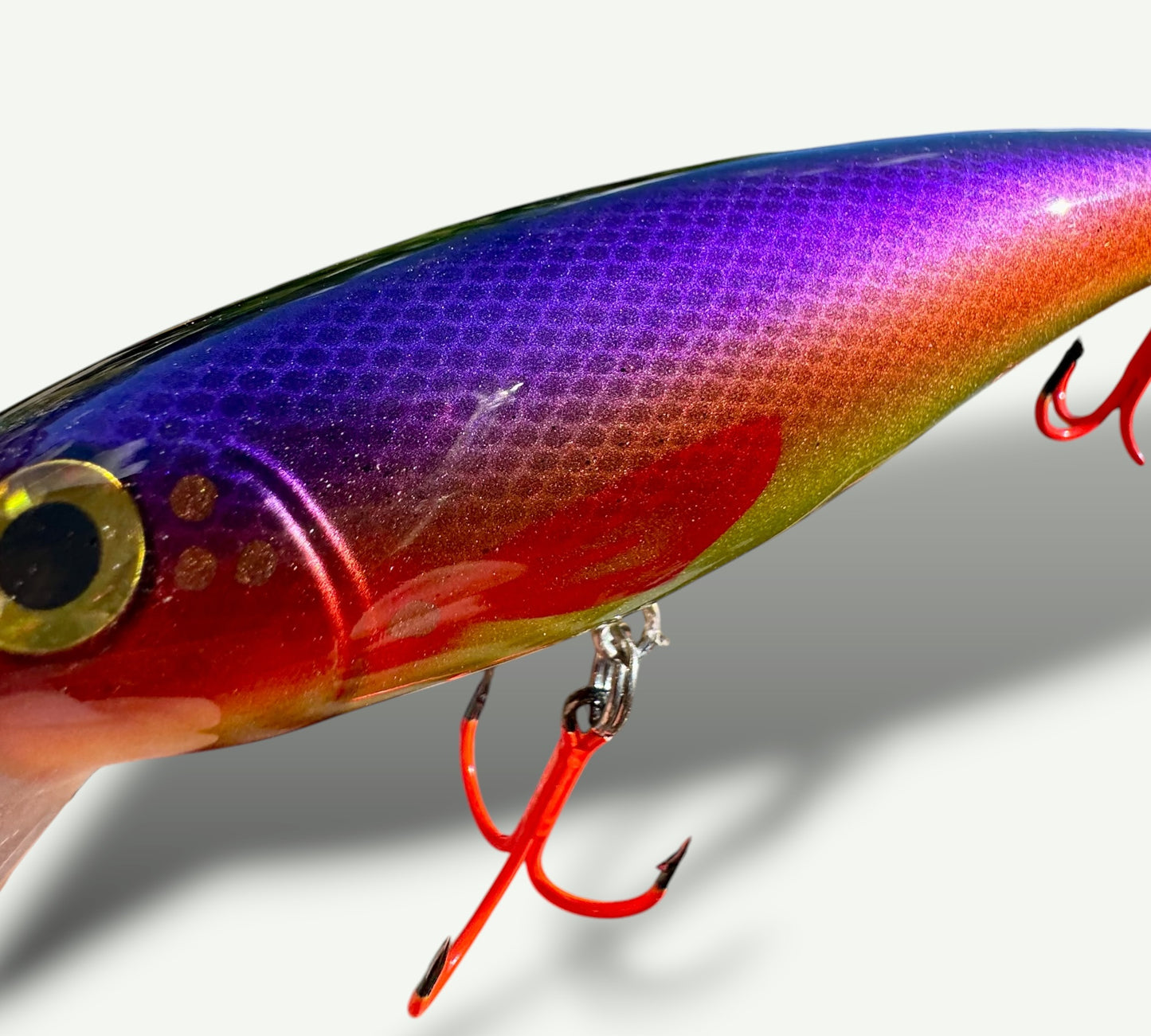 The ErnieCC 6”   SunsetRaider