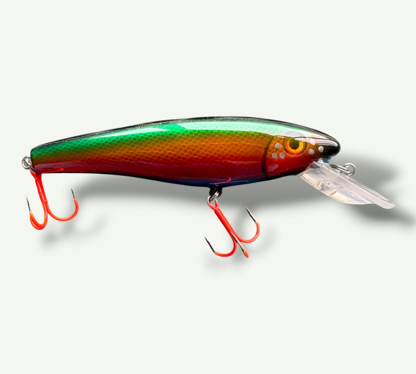 The ErnieCC 6”   Rainbow