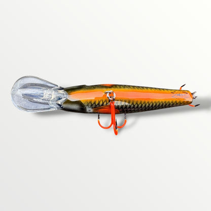 The Erniecc 6” NeonRoach