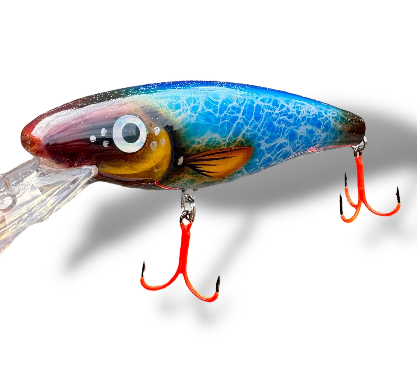 The Erniecc 6” Blue Shine