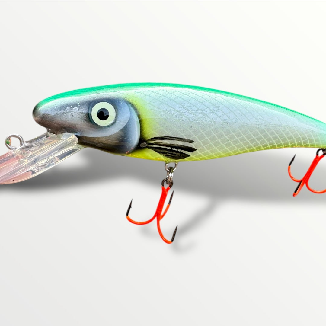 The CC Ernie 6'' Moly