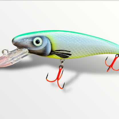 The CC Ernie 6'' Moly