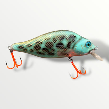 The walleye 5” custom gespoten en UV treble #1 afgehaakt.