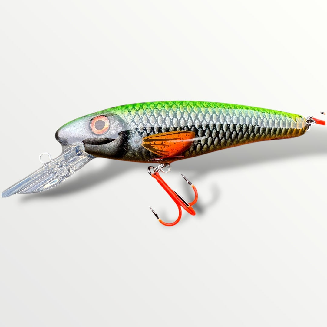 The Erniecc 6” NeonRoach