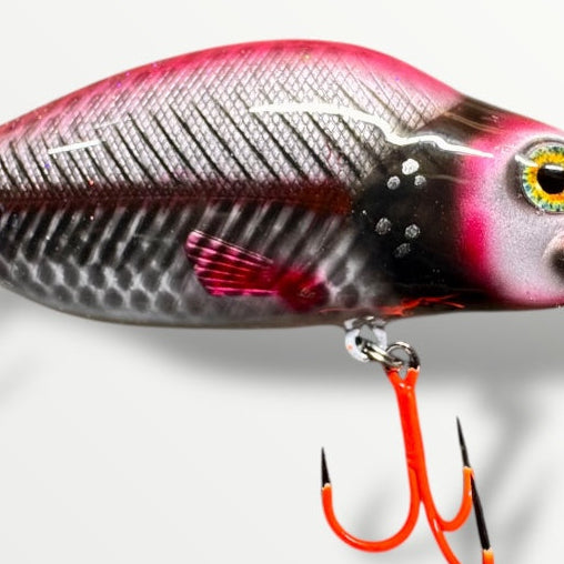 The walleye 5” Snapper