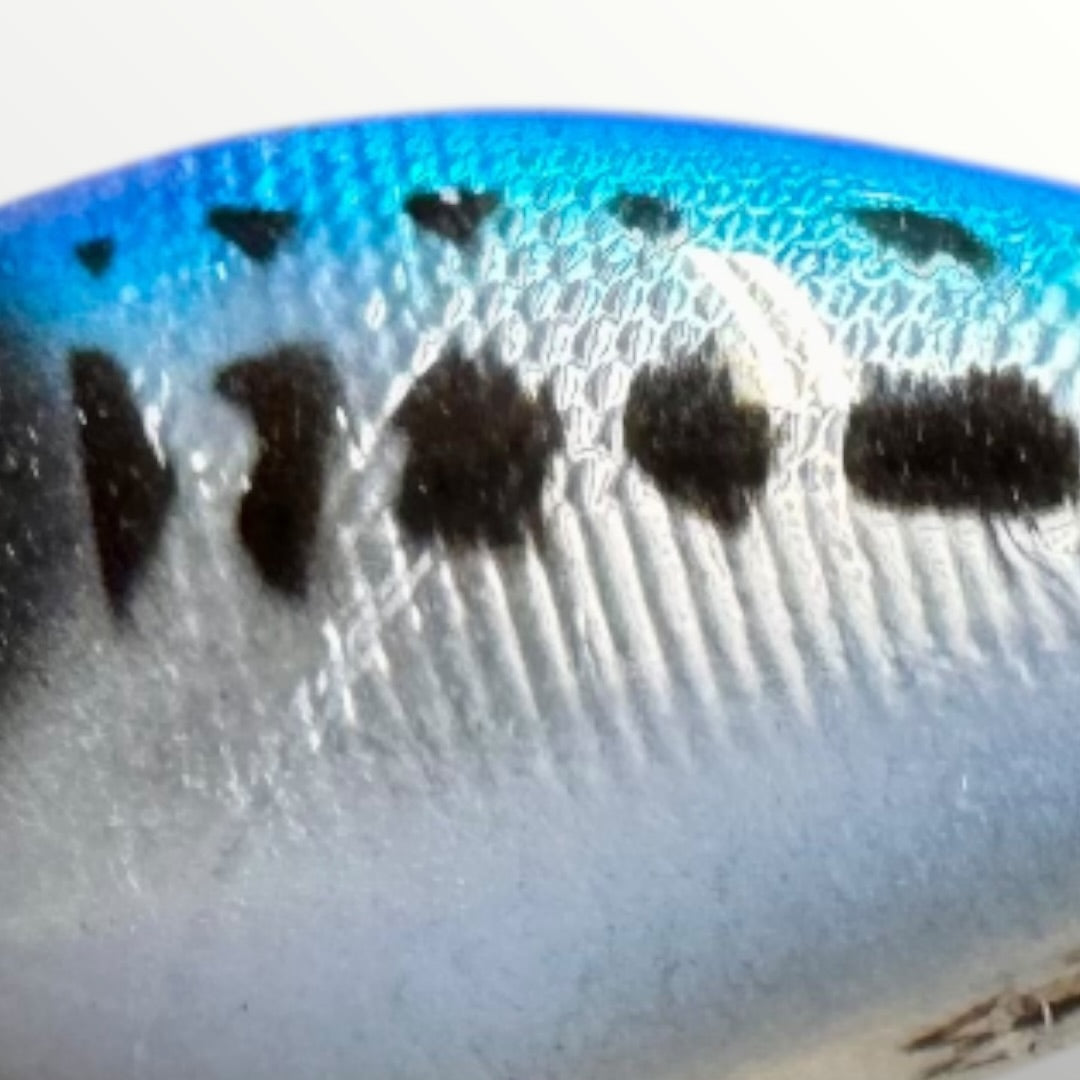 3.1/4”Square bill bait Herring