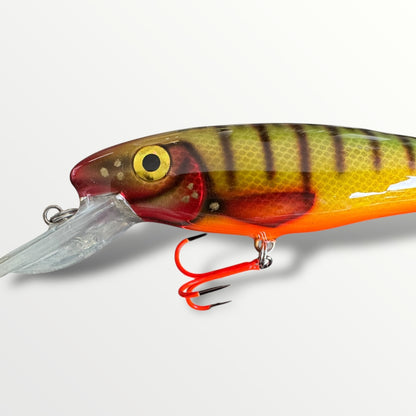 The ErnieCC 6”