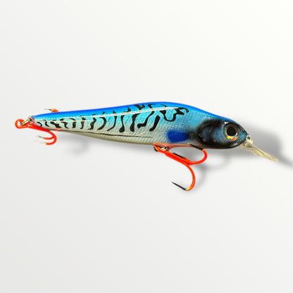 Big Head Minnow Herring the streetfishing sensatie