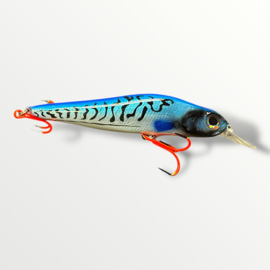 Big Head Minnow Herring the streetfishing sensatie