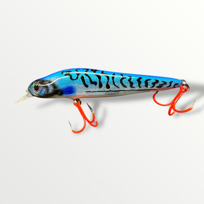 Big Head Minnow Herring the streetfishing sensatie