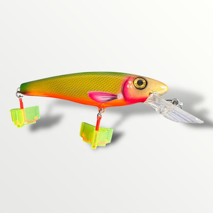 The ErnieCC 6”