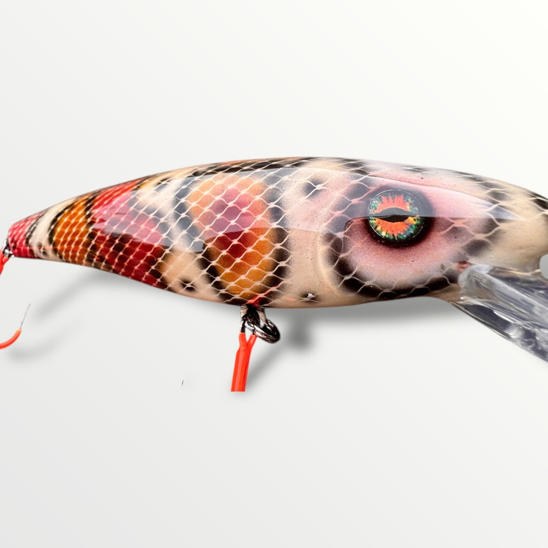 The ErnieCC 6” Boa