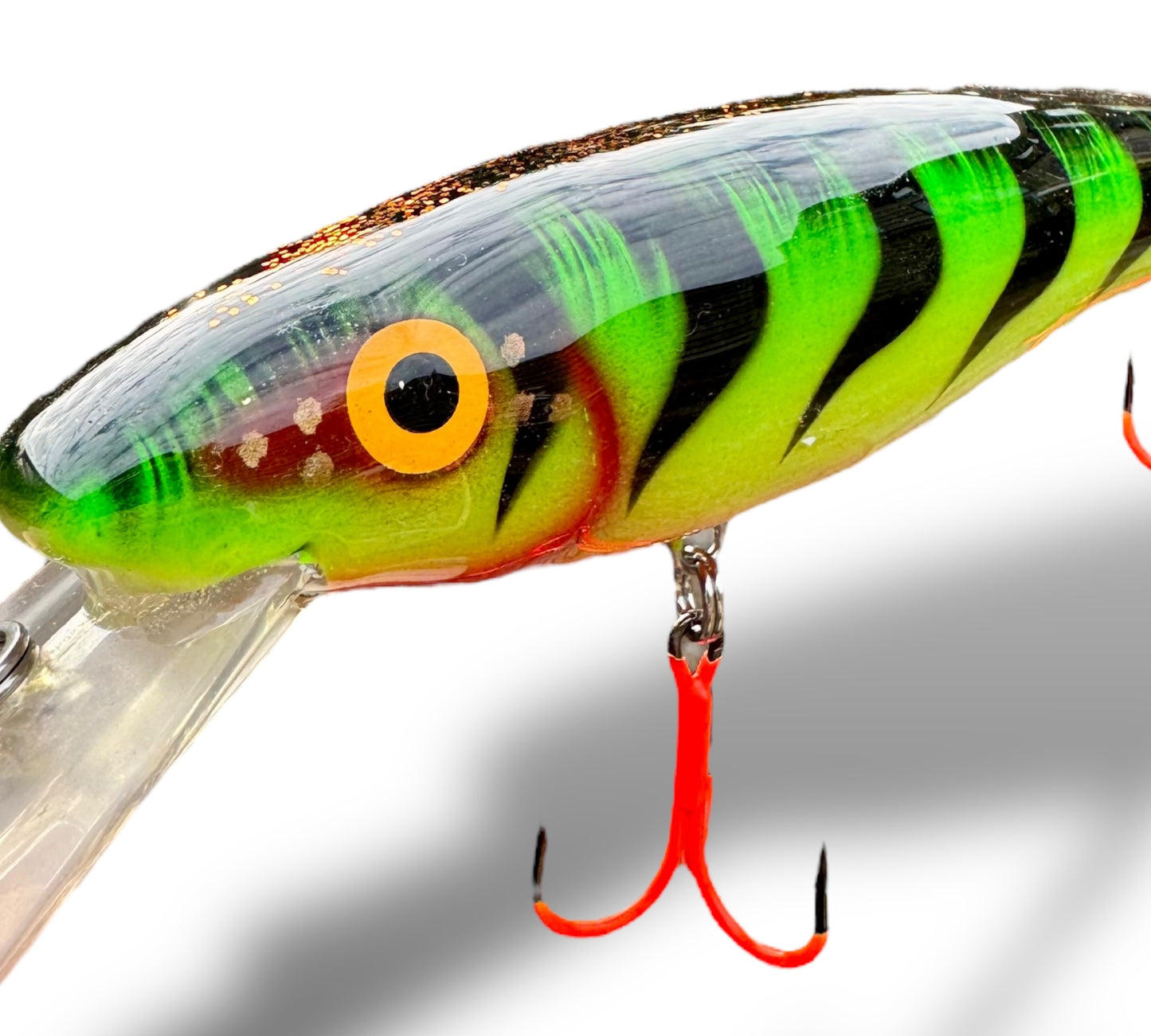 The ErnieCc 6” FireTiger