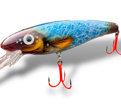 The Erniecc 6” Blue Shine