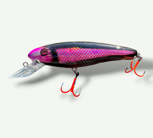The ErnieCC 6”