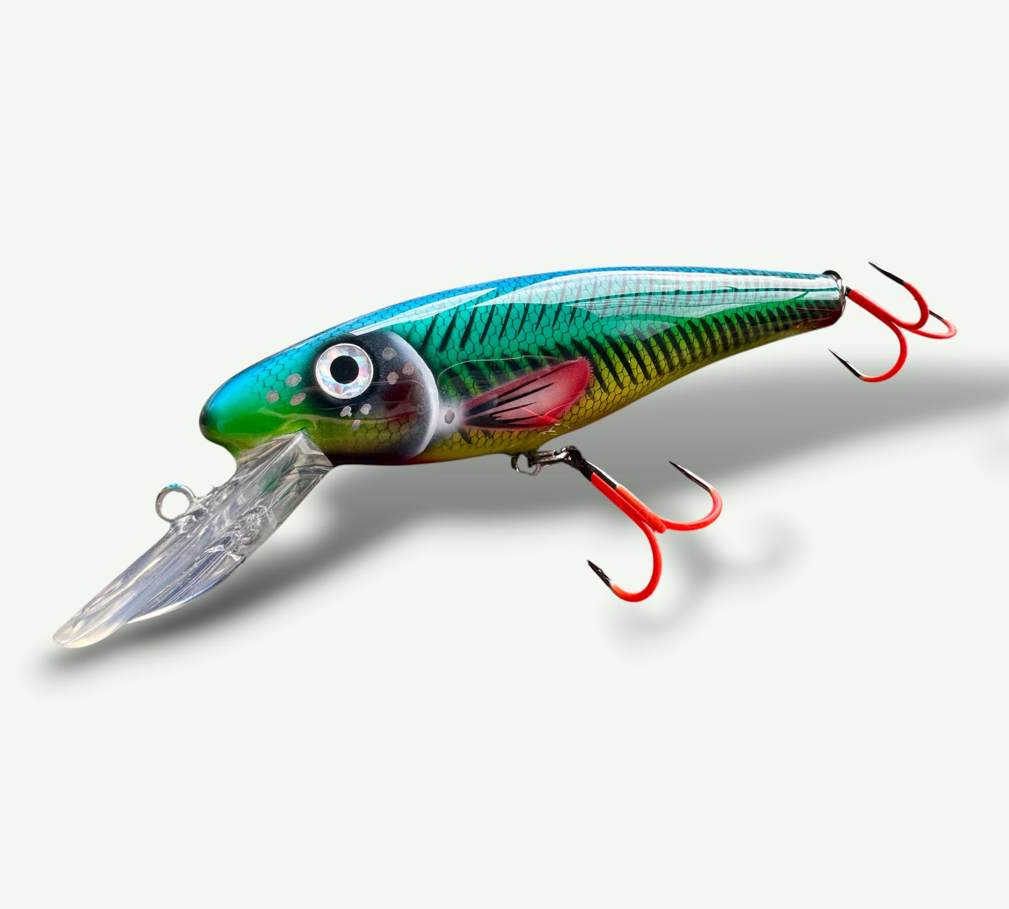 The ErnieCC 6”   BlueViper