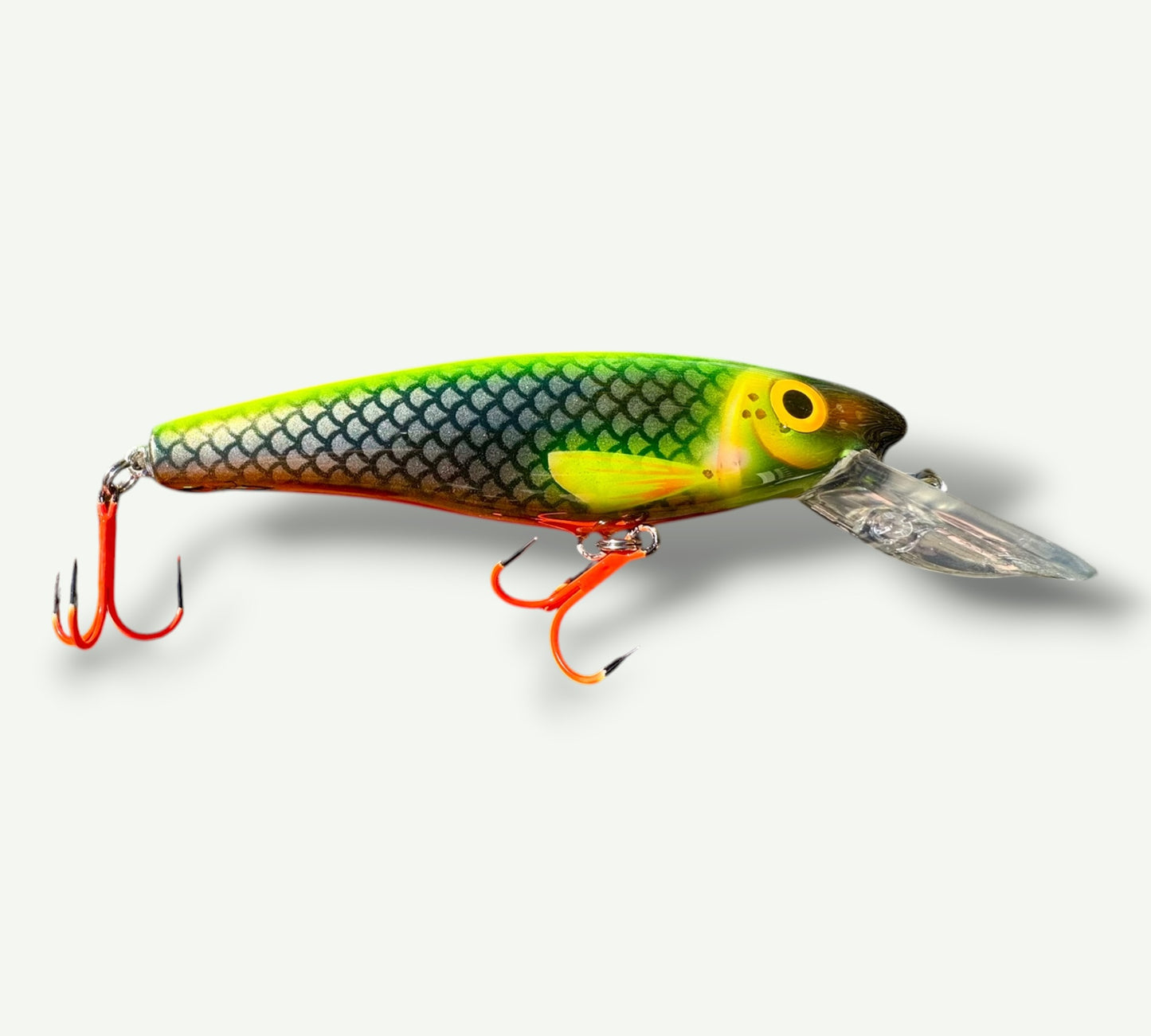 The ErnieCC 6” Neon