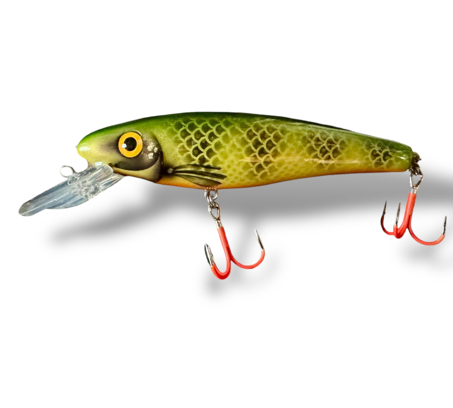 The Ernie CC 6” Perch