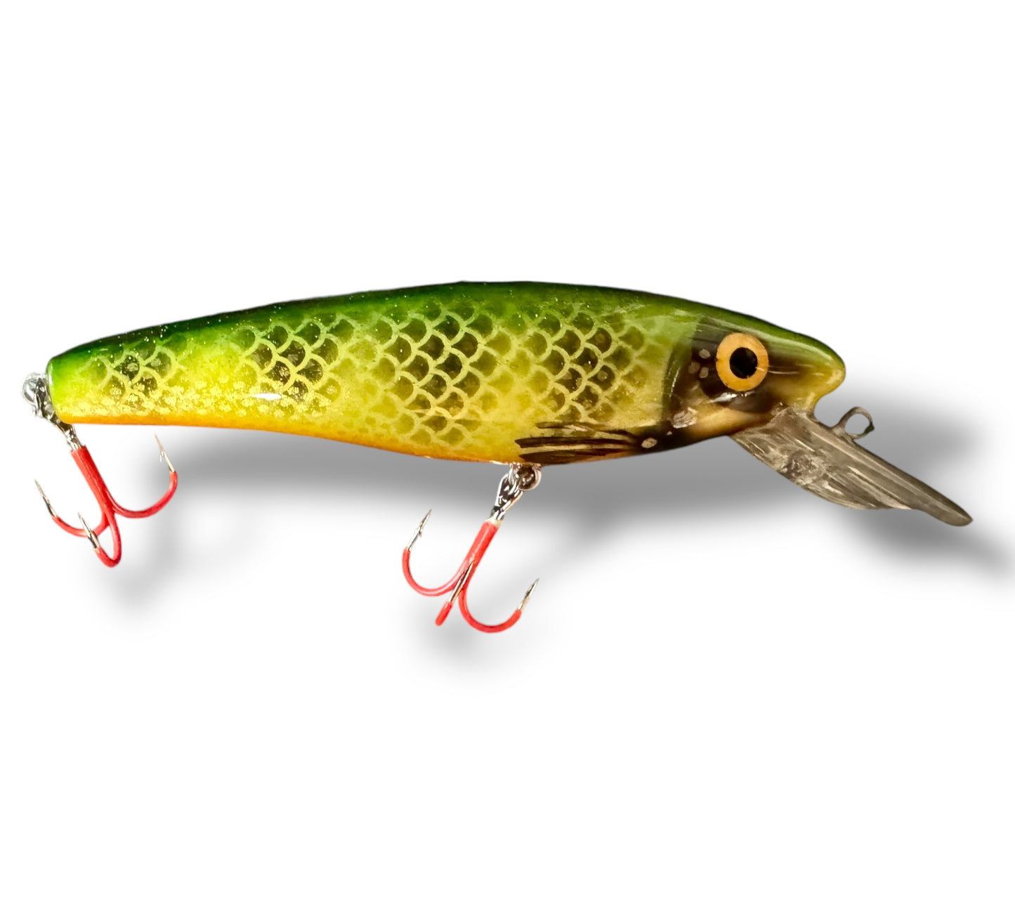 The Ernie CC 6” Perch