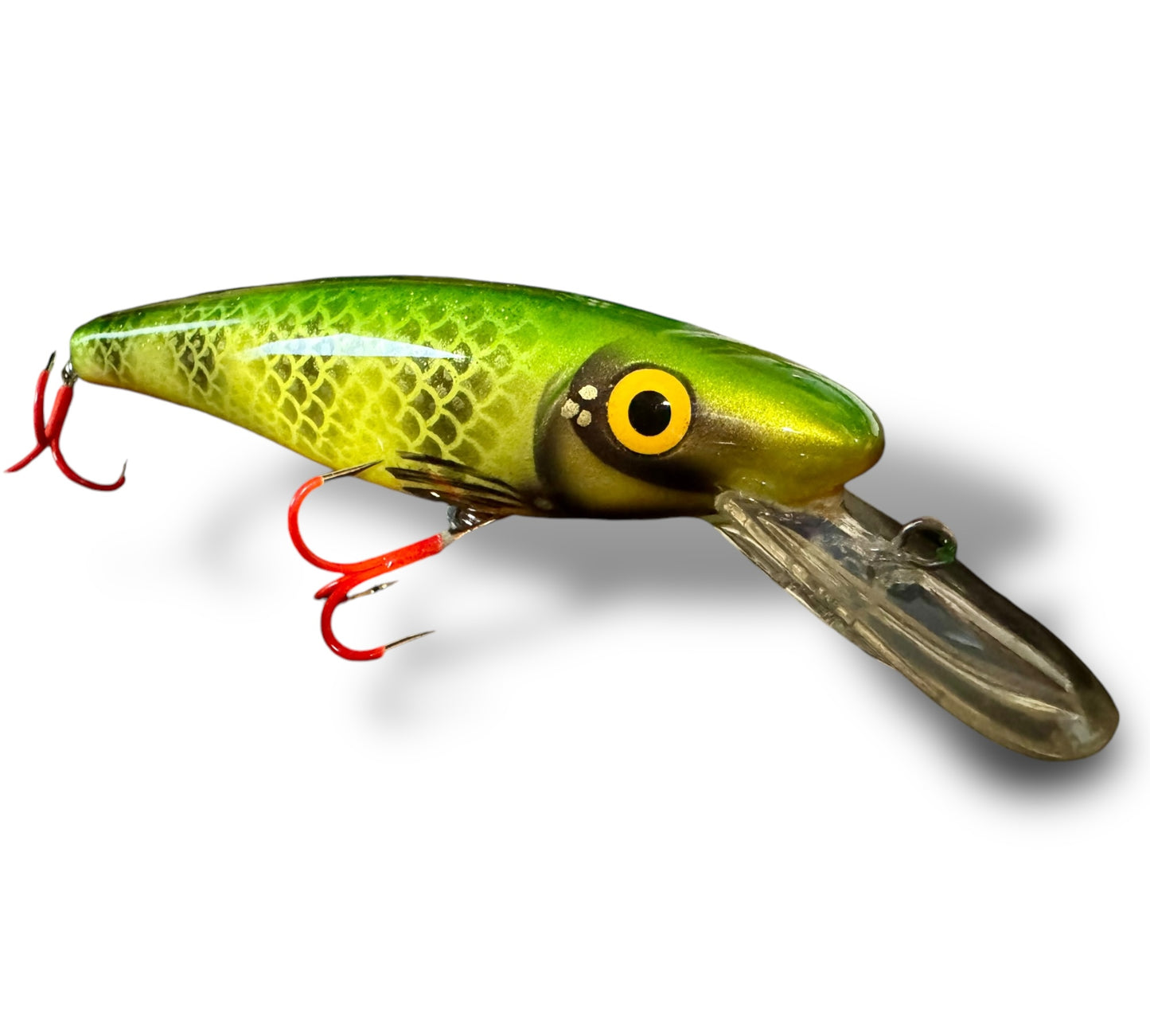 The Ernie CC 6” Perch