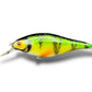 The Maimar Shad jerk Perch