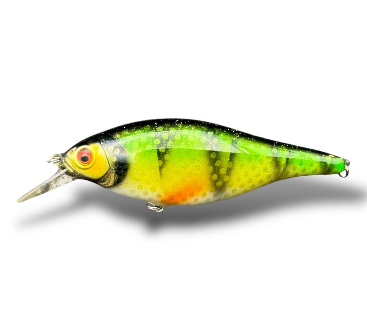 The Maimar Shad jerk Perch