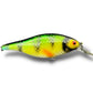 The Maimar Shad jerk Perch