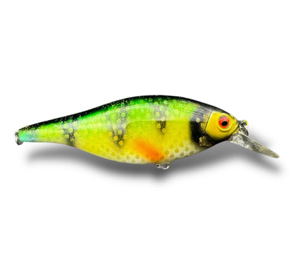 The Maimar Shad jerk Perch