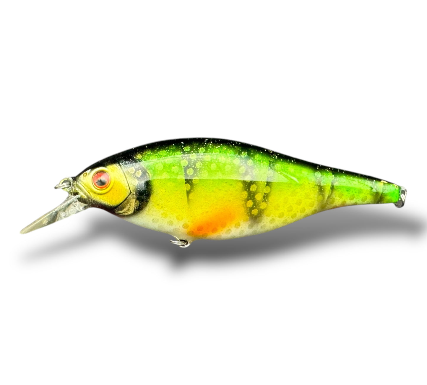 The Maimar Shad jerk Perch