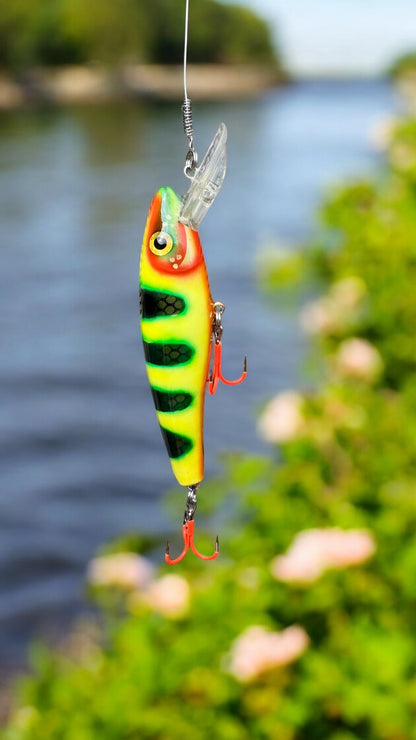 The ErnieCC 6” Maja