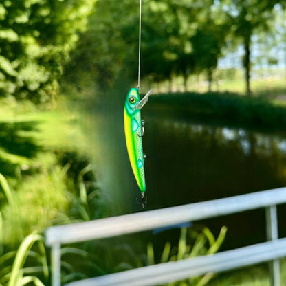 The Big Mari 10” Kermit