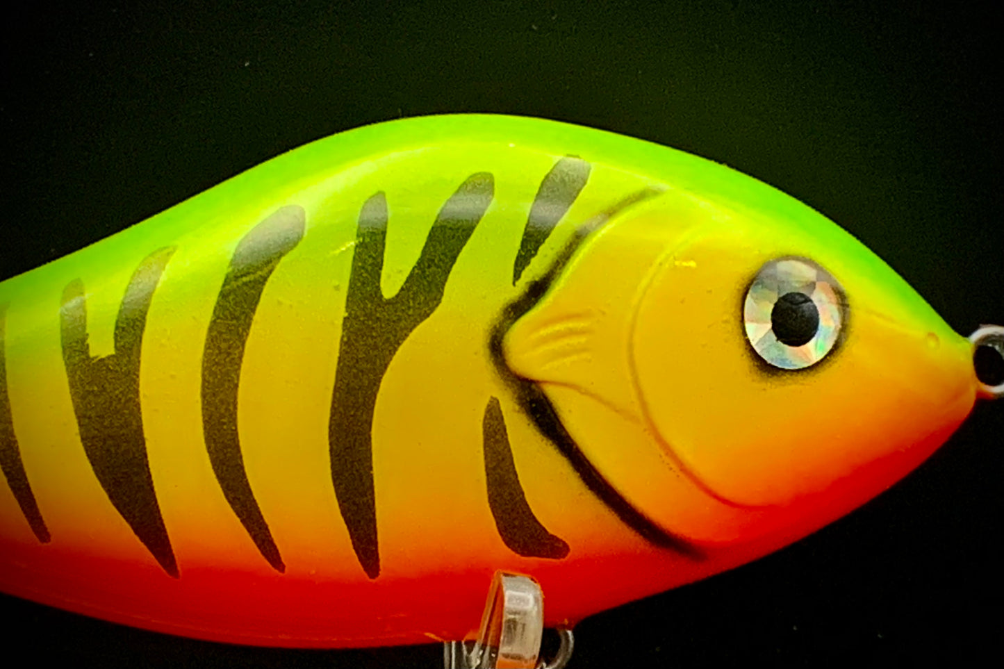 Jerkbait Slider “4 Tiger