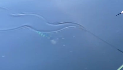 ErnieCC 6'' Koi - Snoek Crankbait - Custom Painted