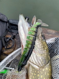 Pike Swimbait 8”